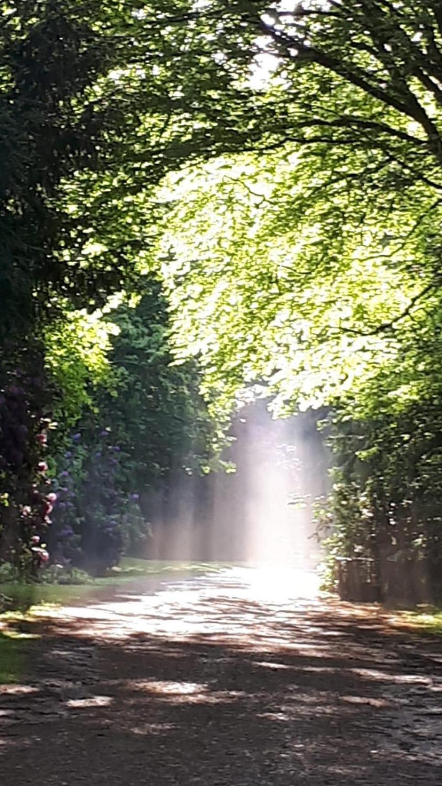 Altmarkblick Erbenhausen エクステリア 写真