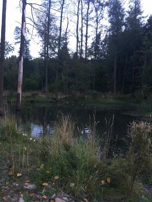 Altmarkblick Erbenhausen エクステリア 写真